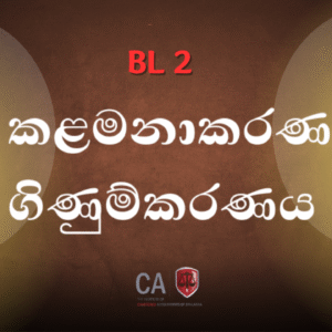 කළමනාකරණ ගණකාධිකරණය (BL2) - July