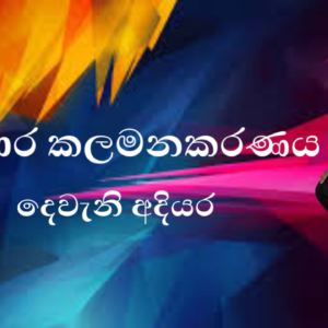 ව්‍යාපාර කලමණාකරණය (BMA)