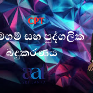 සමාගම් සහ පුද්ගලික බදුකරණය (CPT)