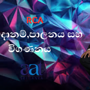 අවදානම් පාලනය සහ විගණනය (RCA)